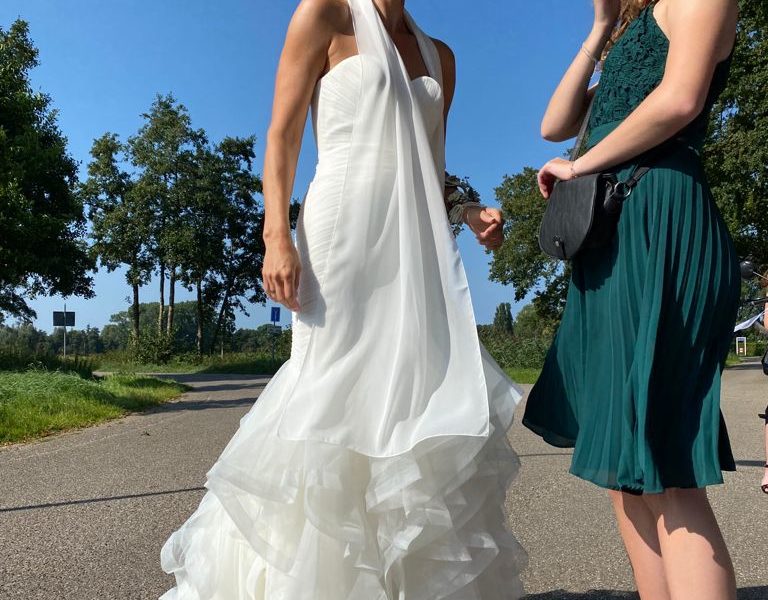 Prachtige pronovias fauvette trouwjurk