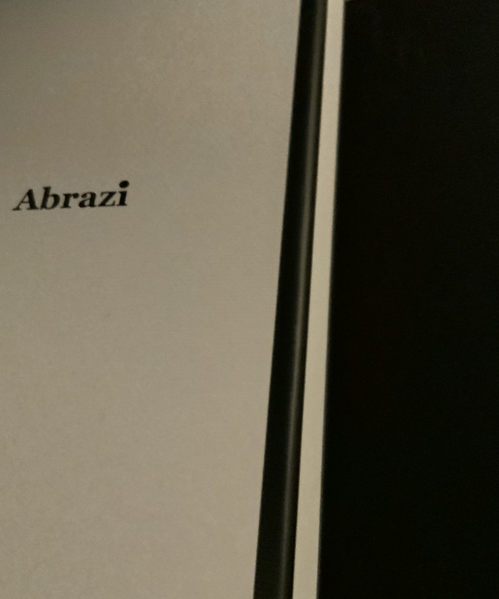 Mooie haarspeld van abrazi