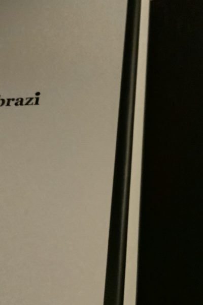 Mooie haarspeld van abrazi