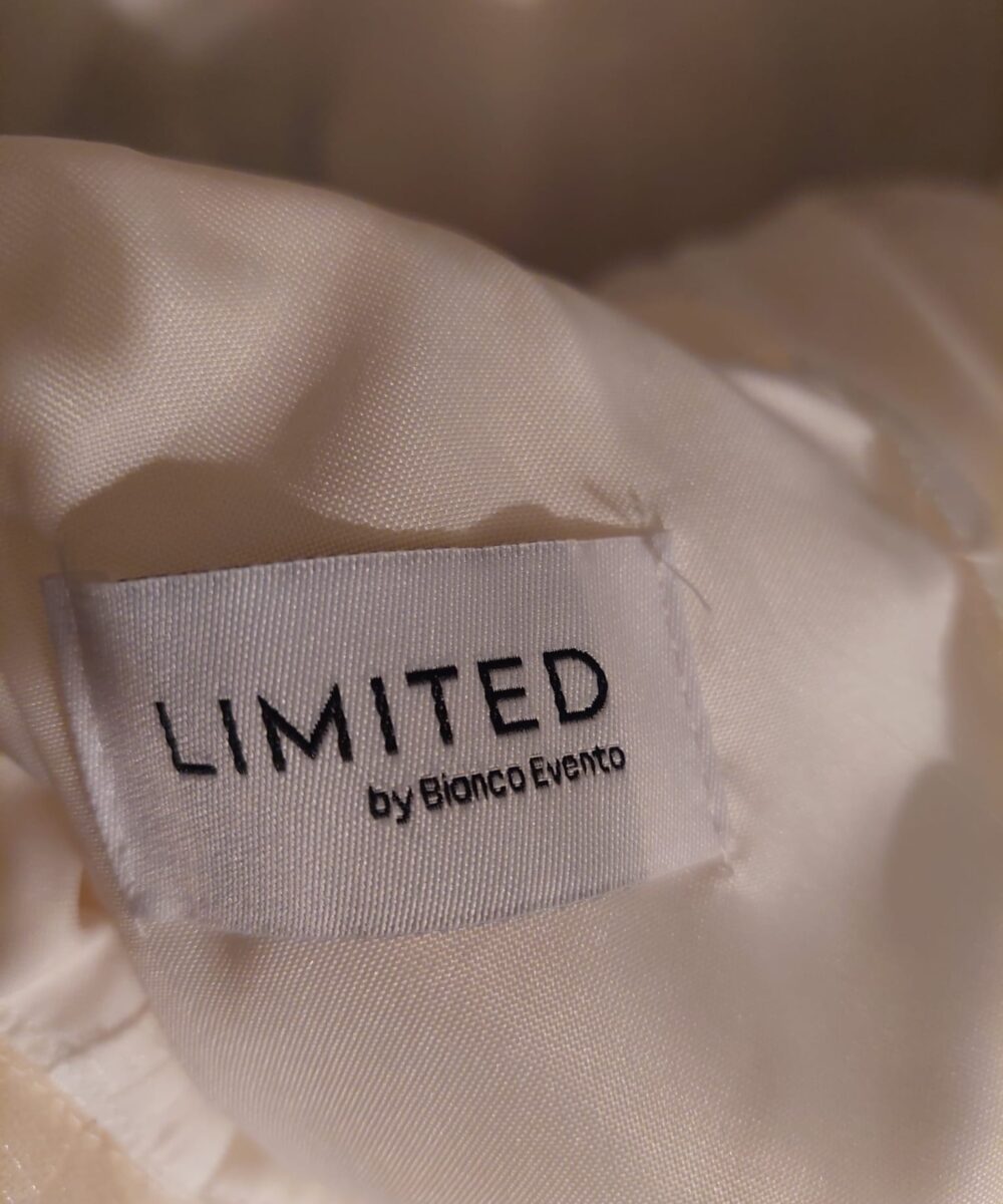 Trouwjurk Bianco Evento limited (mt 40), inclusief petticoat (Poerier S) en lange sluier.
