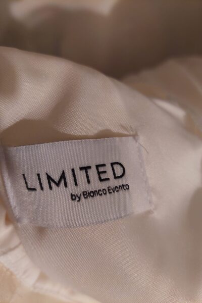 Trouwjurk Bianco Evento limited (mt 40), inclusief petticoat (Poerier S) en lange sluier.