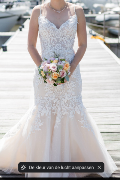 Trouwjurk van Demetrios