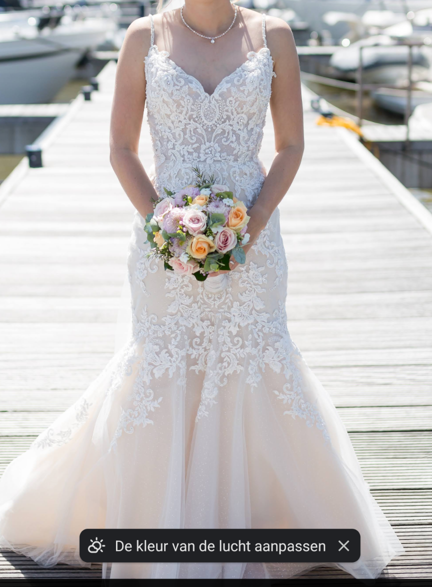 Trouwjurk van Demetrios