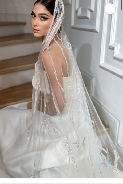 Bruids veil