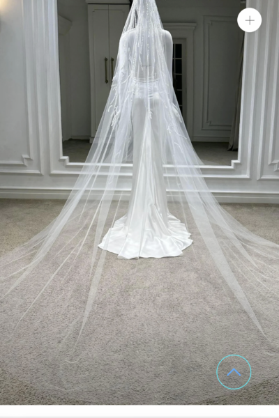 Bruids veil